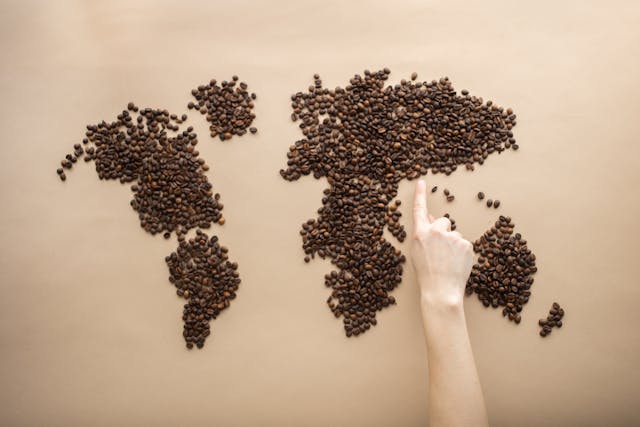 Découverte des meilleures origines de café du monde